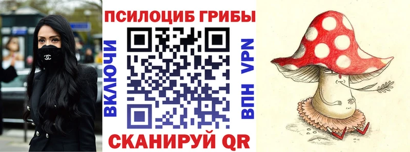 Купить  Ковров  Галлюциногенные грибы MAGIC MUSHROOMS 