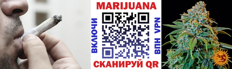 Каннабис конопля  Купить где  Ковров 